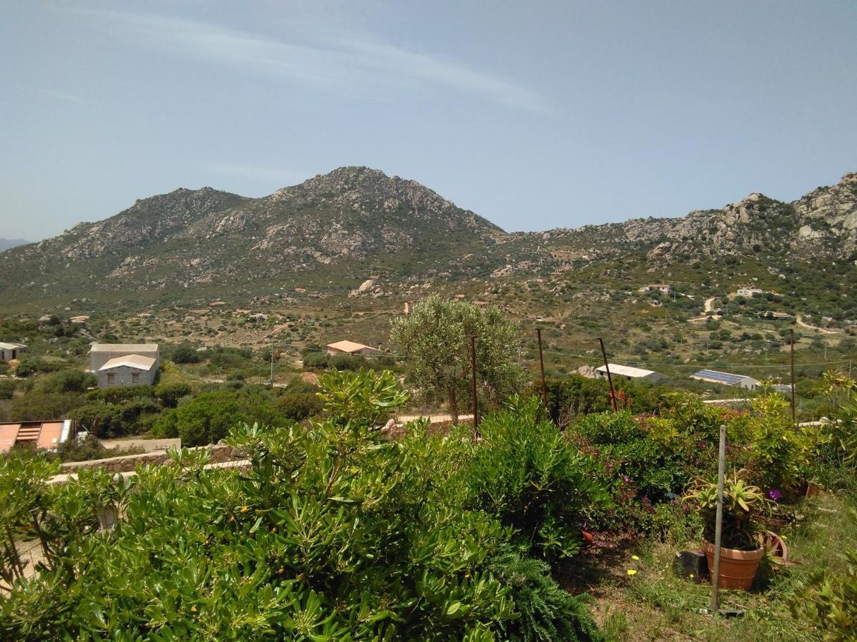 Villetta Osseddu Olbia Ngoại thất bức ảnh